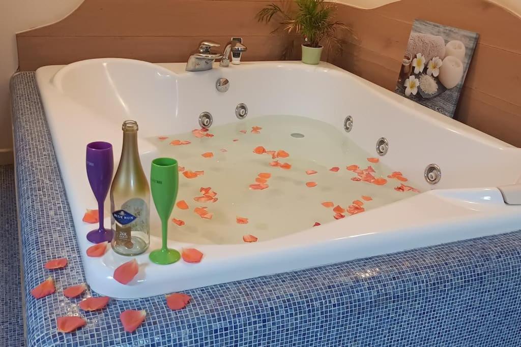 Central Terrace Escape With Jacuzzi Timisoara Esterno foto