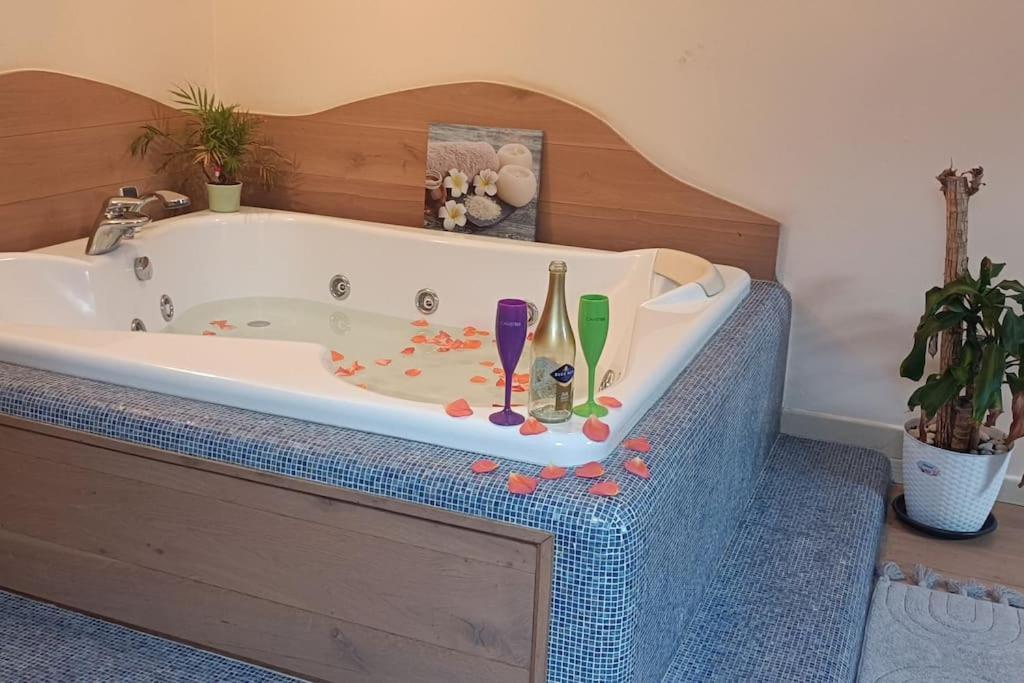 Central Terrace Escape With Jacuzzi Timisoara Esterno foto