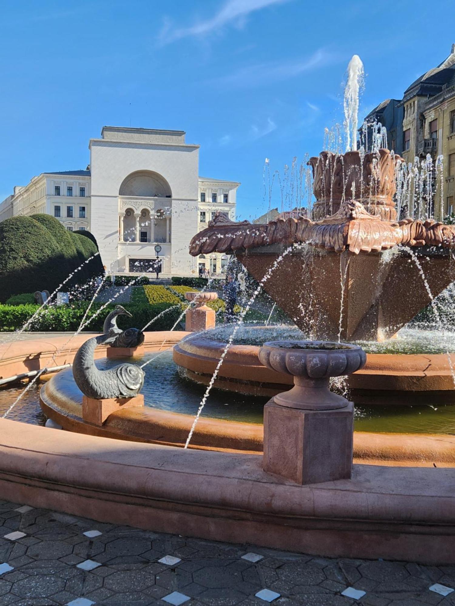 Central Terrace Escape With Jacuzzi Timisoara Esterno foto