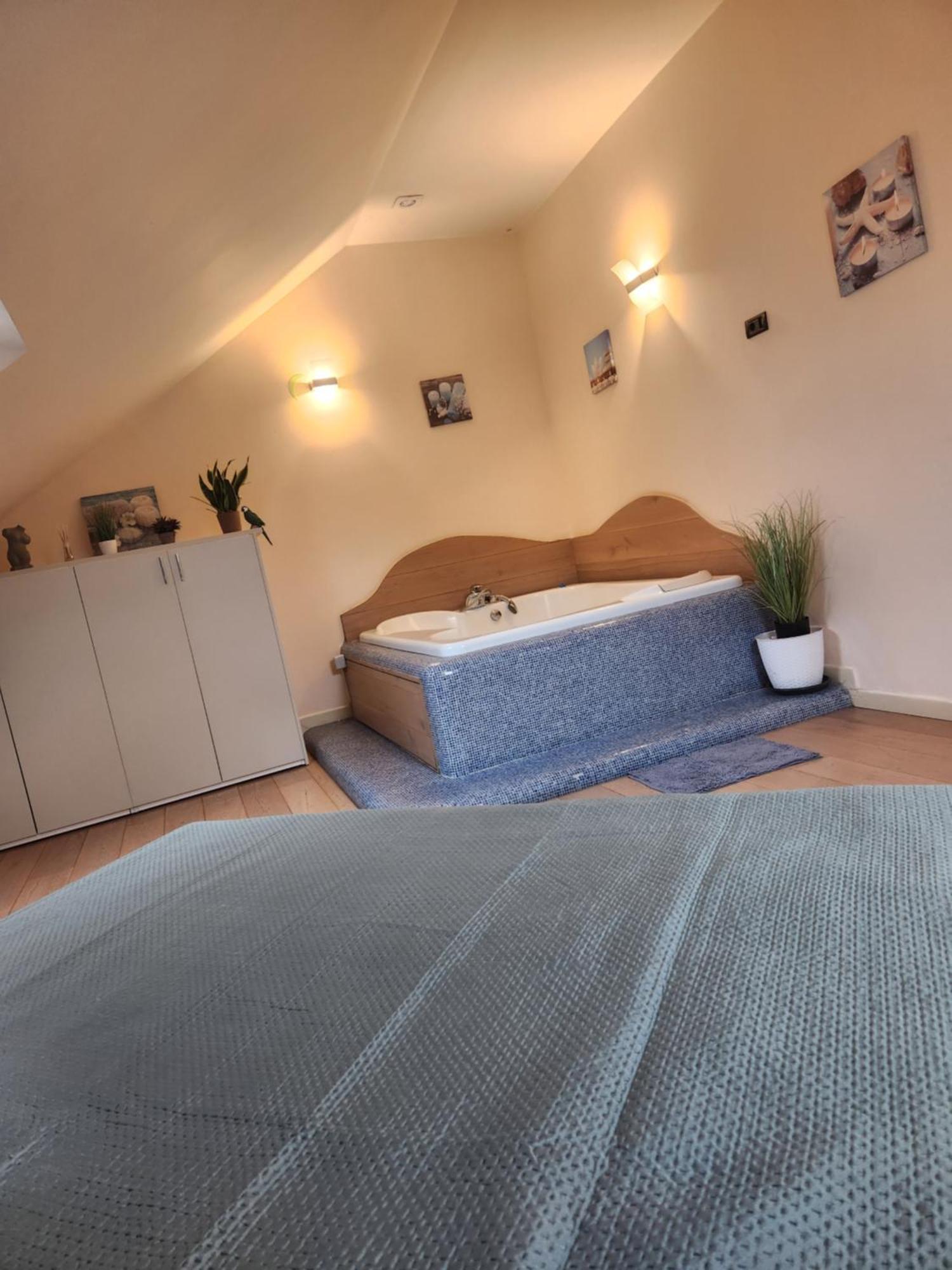 Central Terrace Escape With Jacuzzi Timisoara Esterno foto