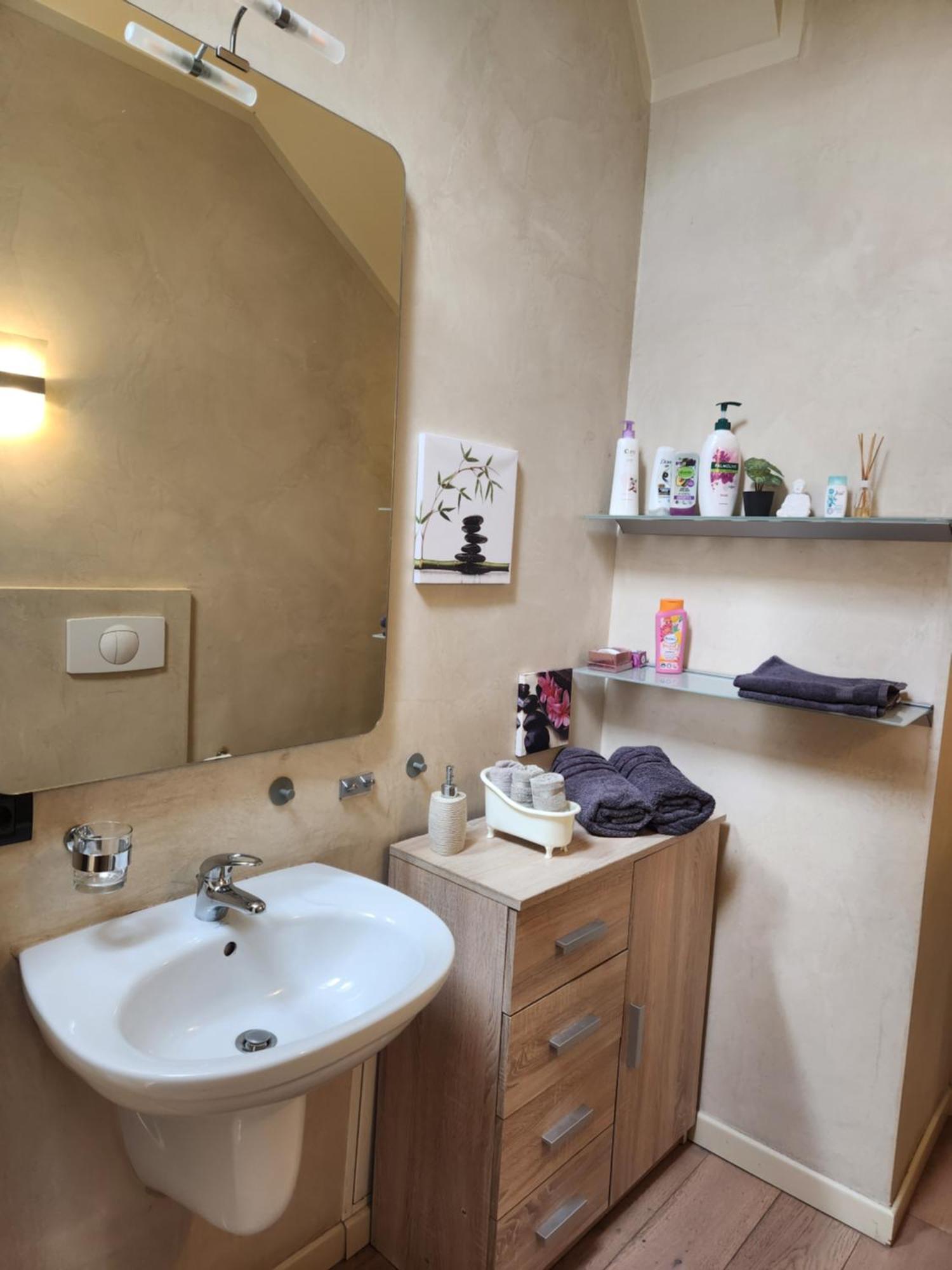 Central Terrace Escape With Jacuzzi Timisoara Esterno foto
