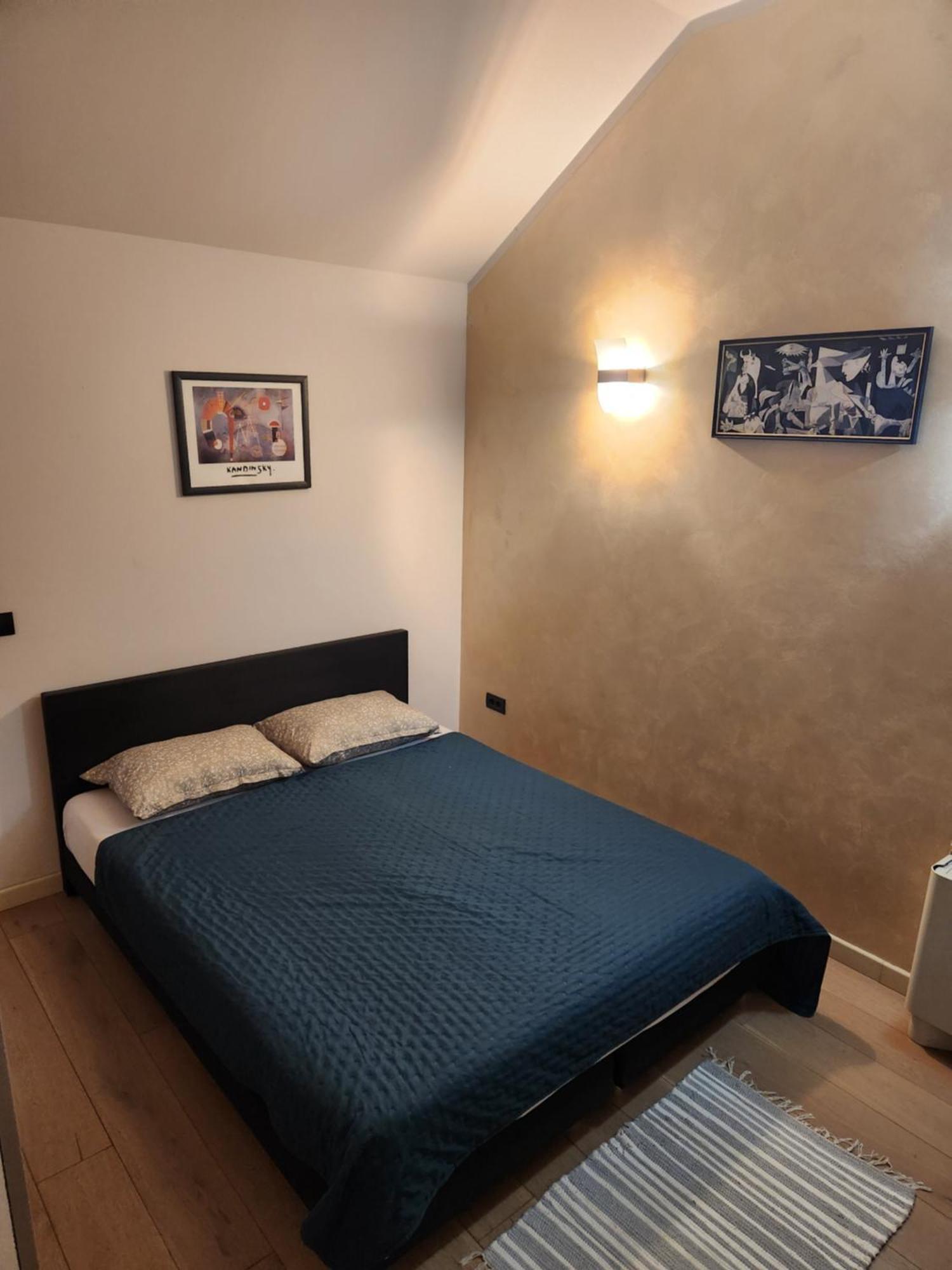 Central Terrace Escape With Jacuzzi Timisoara Esterno foto